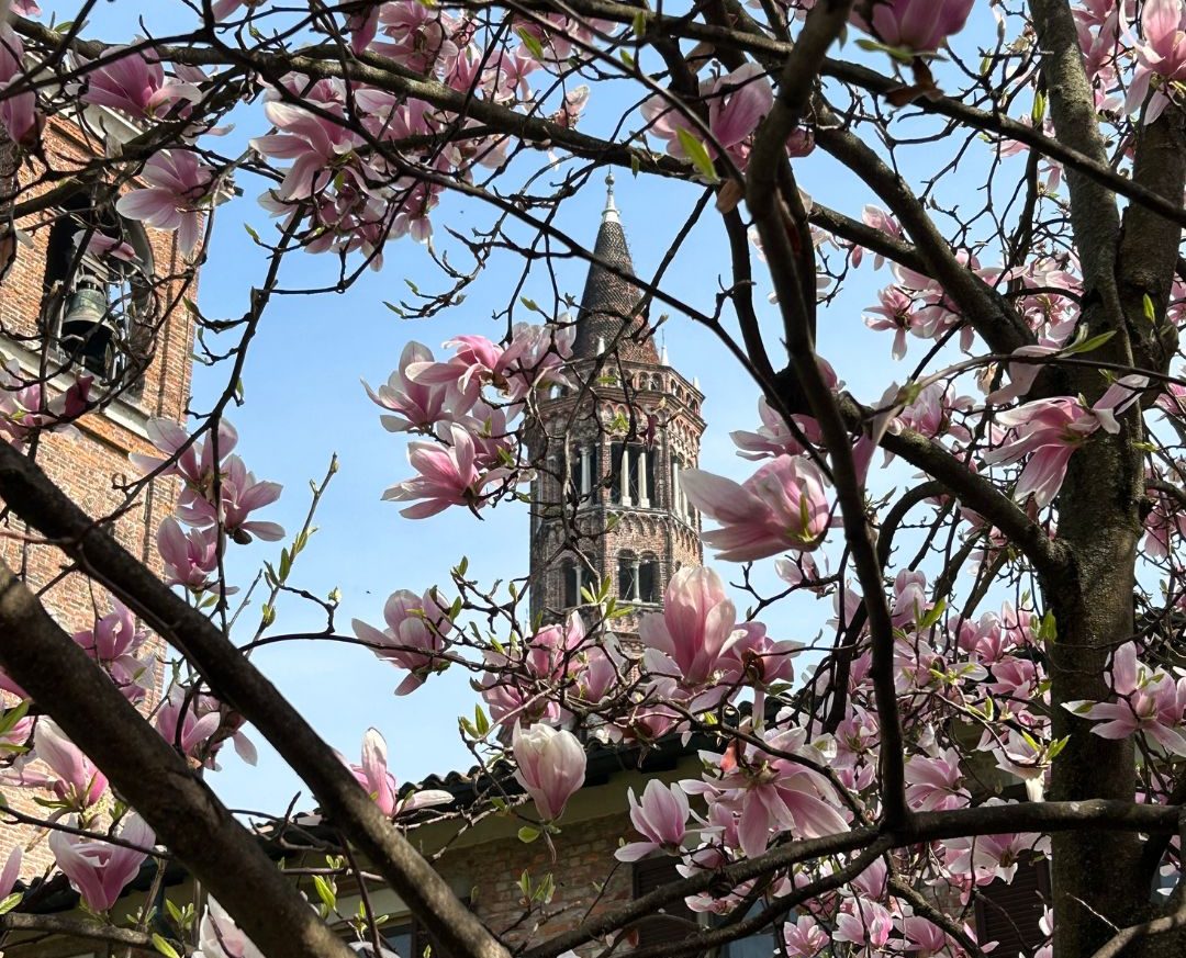 Primavera, Pasqua e Pasquetta all’Abbazia e Mulino di Chiaravalle