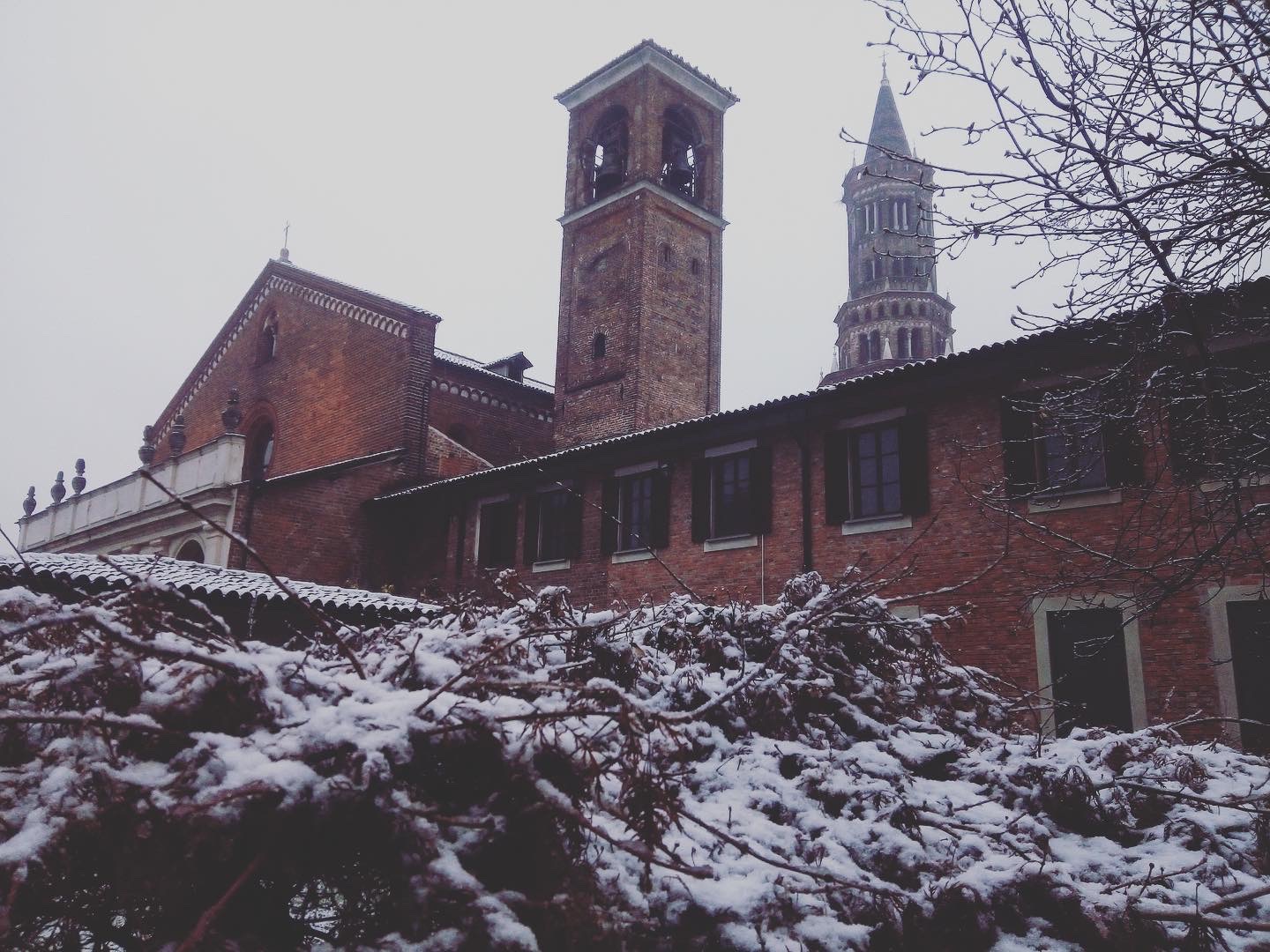 Auguri, S. Messe, aperture e chiusure natalizie