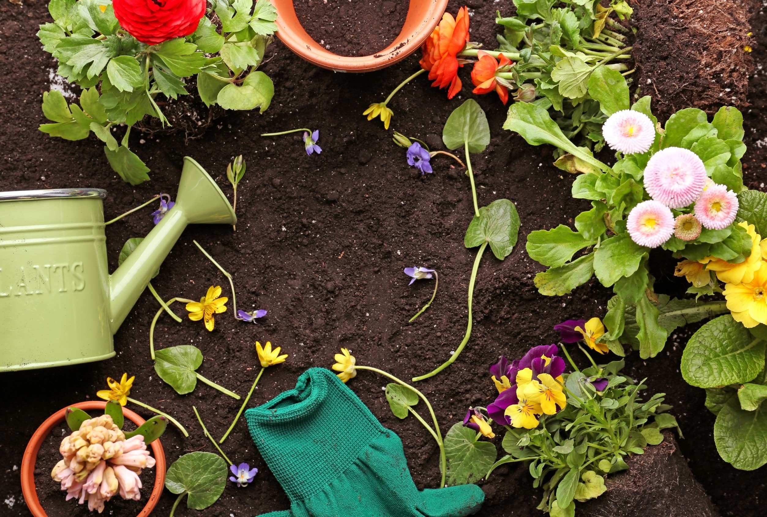 Hortus in monastero – Fondamenti e pratiche di orticoltura