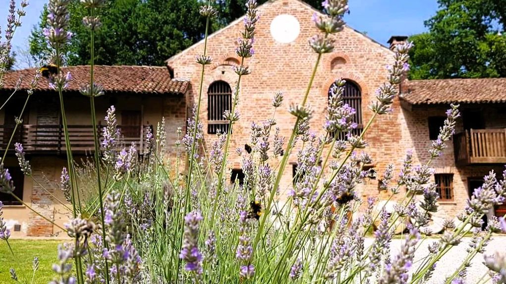 Estate insieme a Chiaravalle di Milano