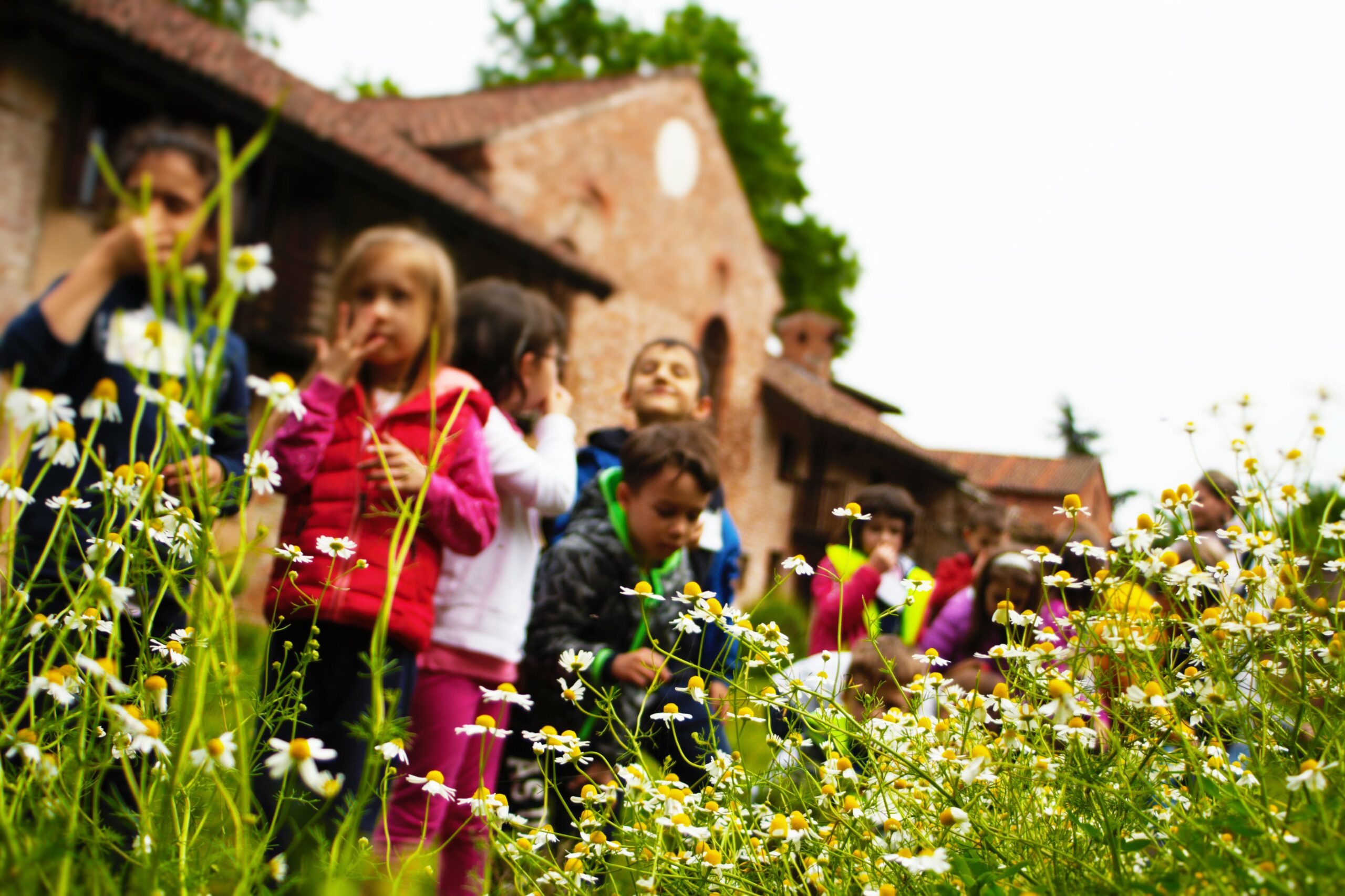 A.S. 2026-27 Uscite didattiche per le scuole a Chiaravalle e Mirasole, alle porte di Milano