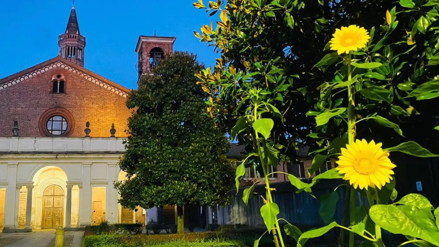 Luglio e agosto in Abbazia
