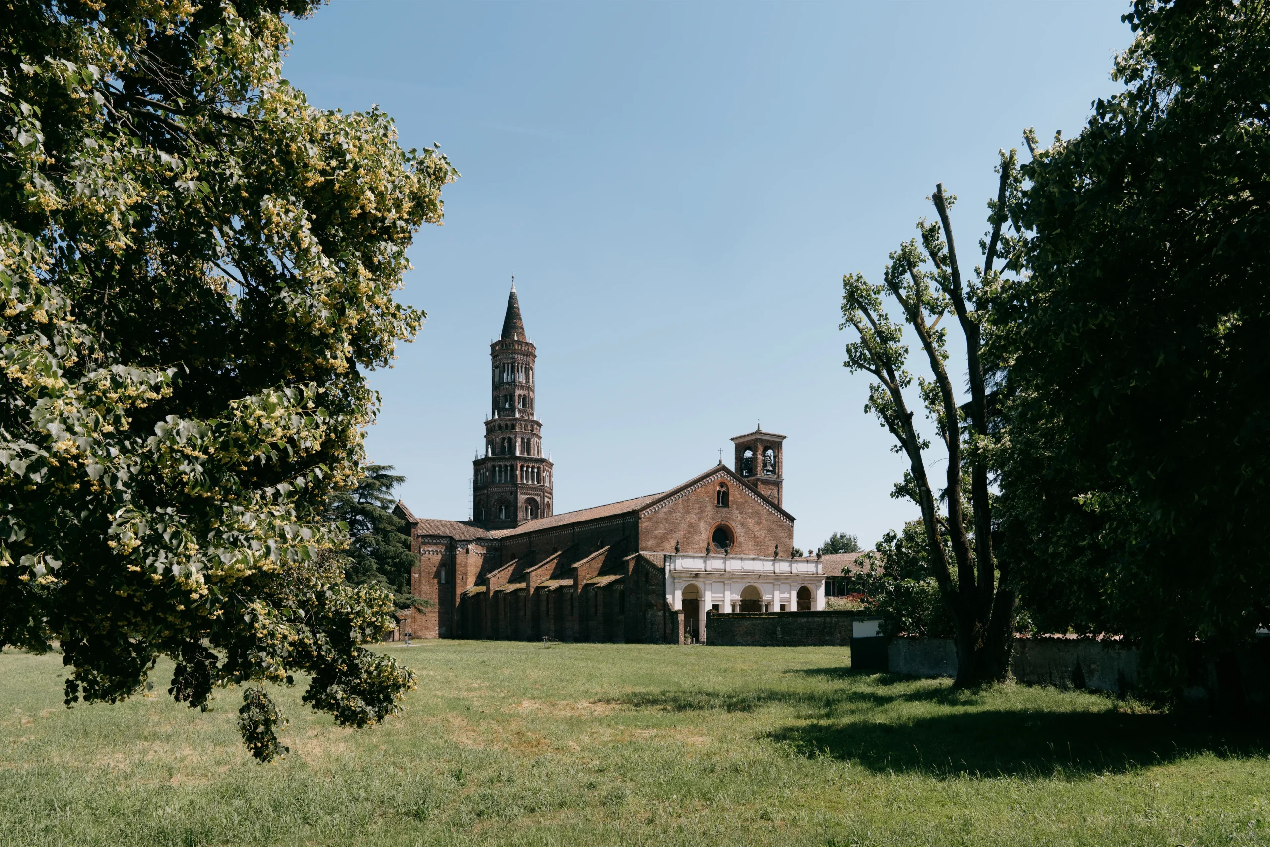 Immagine contenuto