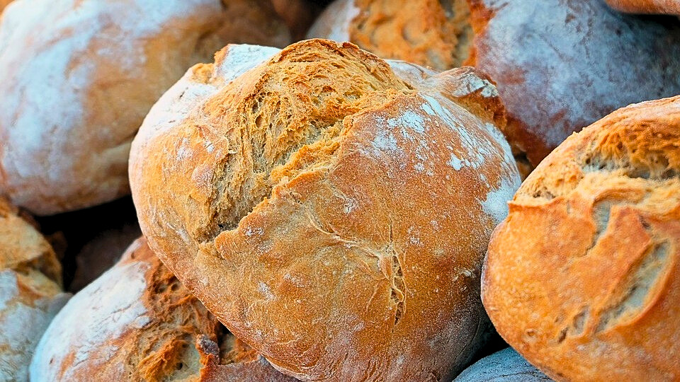 Il Pane: Tradizione, Cultura e Spirito – Corso di Panificazione